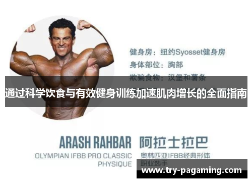 通过科学饮食与有效健身训练加速肌肉增长的全面指南