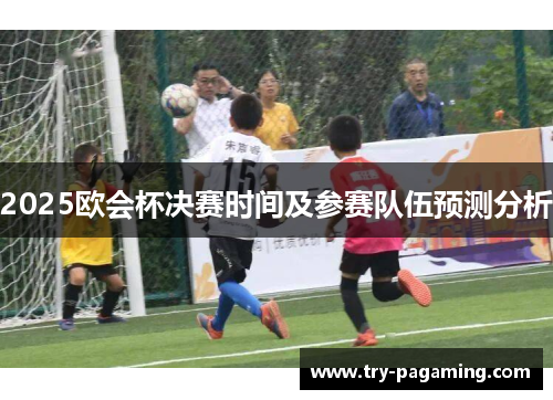 2025欧会杯决赛时间及参赛队伍预测分析