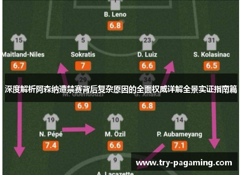 深度解析阿森纳遭禁赛背后复杂原因的全面权威详解全景实证指南篇