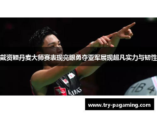 戴资颖丹麦大师赛表现亮眼勇夺亚军展现超凡实力与韧性
