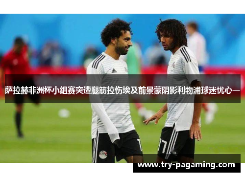 萨拉赫非洲杯小组赛突遭腿筋拉伤埃及前景蒙阴影利物浦球迷忧心一