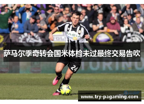 萨马尔季奇转会国米体检未过最终交易告吹 萨马尔季奇转会国米体检未过最终交易告吹