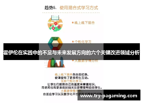 霍伊伦在实践中的不足与未来发展方向的六个关键改进领域分析