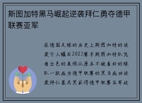 斯图加特黑马崛起逆袭拜仁勇夺德甲联赛亚军 斯图加特黑马崛起逆袭拜仁勇夺德甲联赛亚军